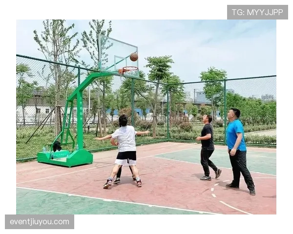 争球规则中裁判判罚依据与执行流程详解